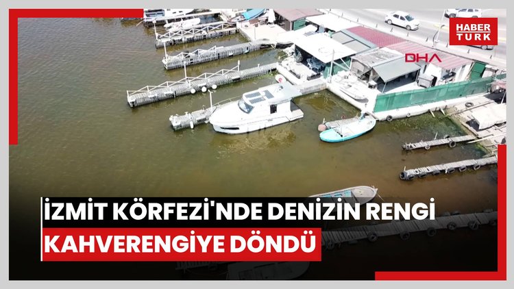 İzmit Körfezi'nde denizin rengi kahverengiye döndü