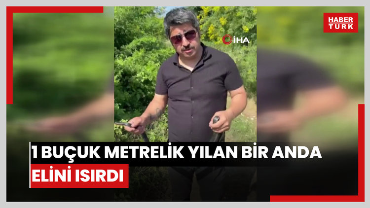 "Zararsız, öldürmeyin" dediği 1 buçuk metrelik yılan bir anda elini ısırdı