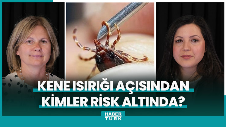 Kene Isırığıyla İlgili Merak Edilenler: Vücuttan Nasıl Çıkarılır? Nelere Dikkat Edilmeli?