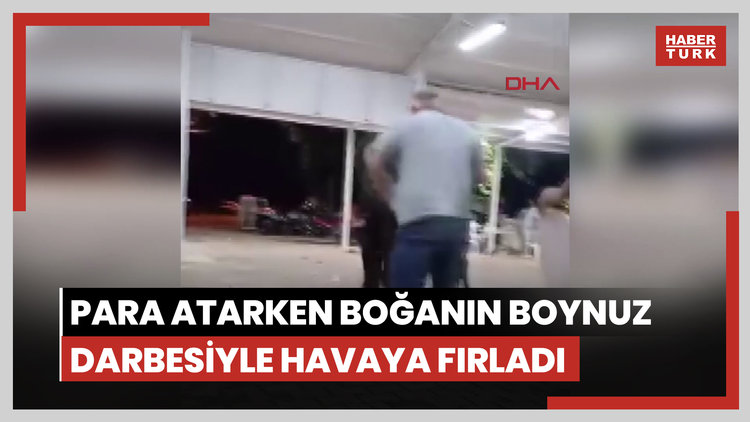Para atarken boğanın boynuz darbesiyle havaya fırladı