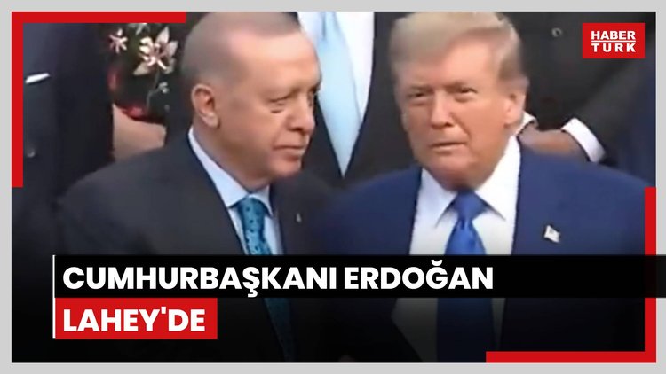 Cumhurbaşkanı Erdoğan, Hollanda'da