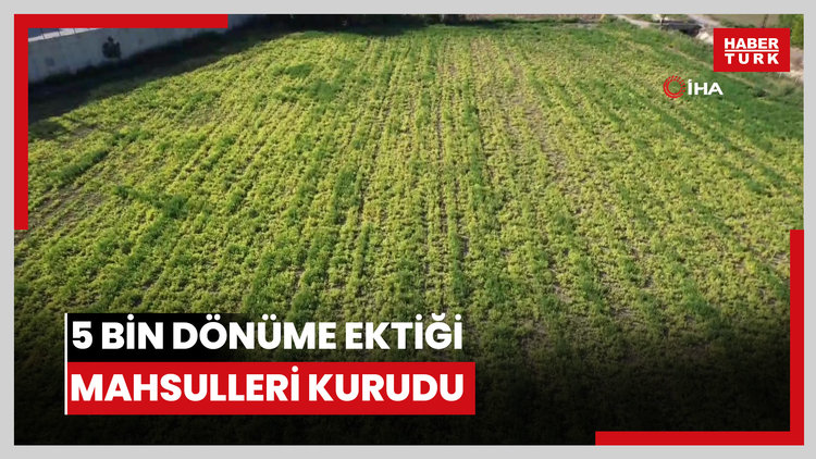 Denizli DESKİ'den su kullanan çiftçinin 5 bin dönüme ektiği mahsulleri kurudu