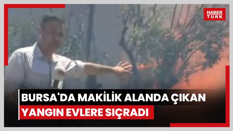 Bursa'da makilik alanda çıkan yangın evlere sıçradı