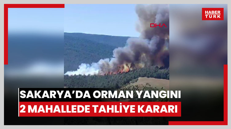 Sakarya'da orman yangını; 2 mahallede tahliye kararı