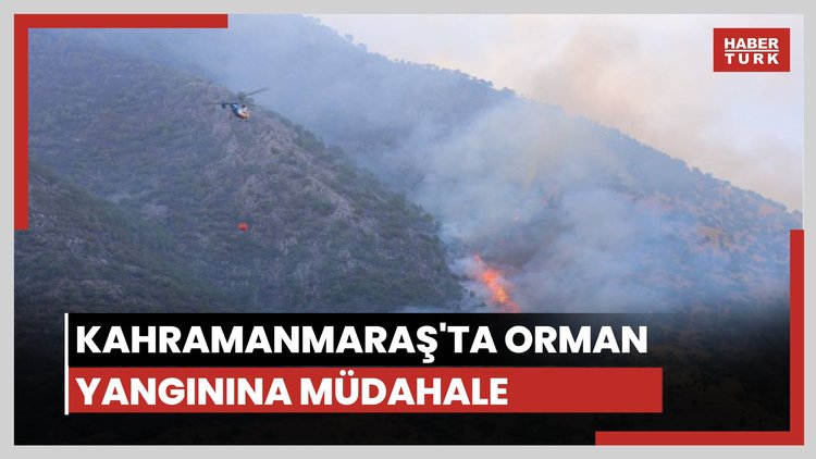 Kahramanmaraş'taki orman yangınına müdahale