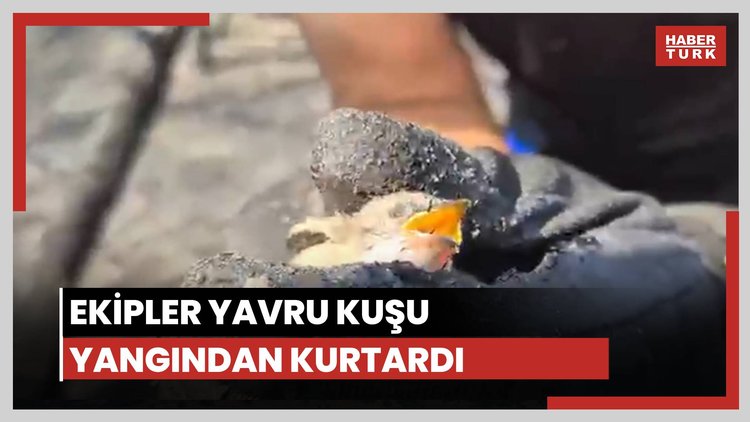 Yangından kuşu kurtardılar