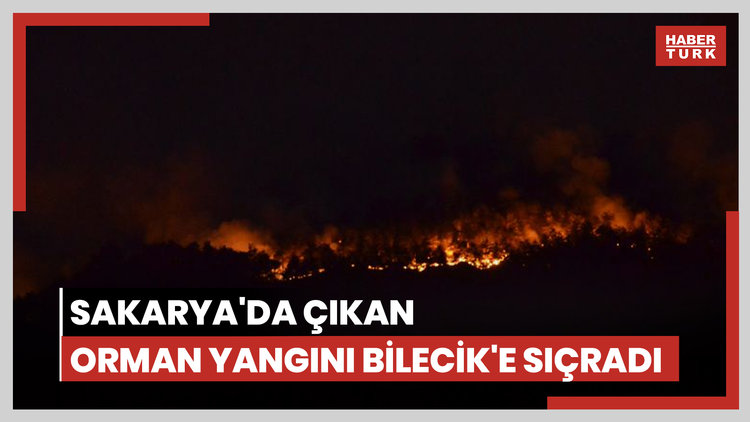 Sakarya'da çıkan orman yangını Bilecik'e sıçradı