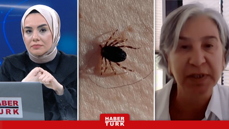 Keneden Nasıl Korunabiliriz?