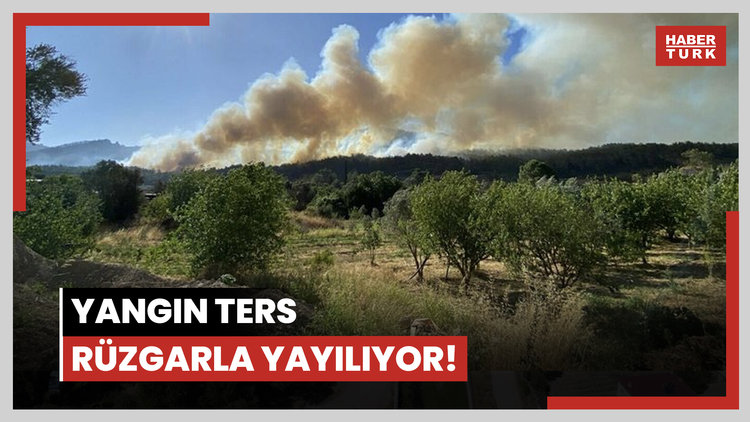 Yangın ters rüzgarla yayılıyor! Canlı yayında alevler şiddetlendi