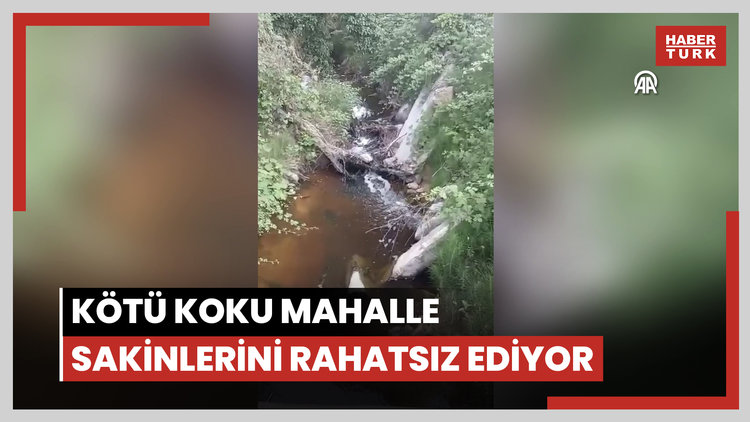 Şile'de atık sular nedeniyle oluşan kirlilik ve kötü koku mahalle sakinlerini rahatsız ediyor