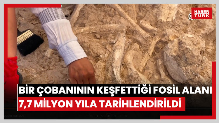Keçi çobanının keşfettiği fosil alanı 7,7 milyon yıla tarihlendirildi