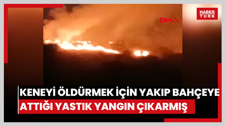 Üzerinde kene bulunan yastığı yakıp, bahçeye atınca yangın çıkmış