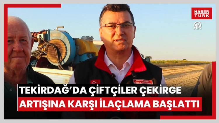 Tekirdağda çiftçiler artan çekirge popülasyonuna karşı ilaçlama çalışması başlattı