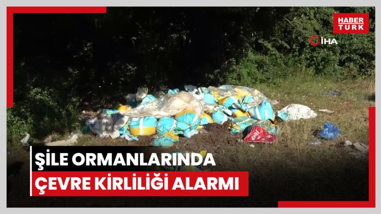 Şile ormanlarında çevre kirliliği alarmı: Poşet poşet atıklar doğaya bırakıldı