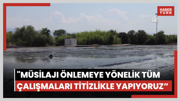 İzmit Körfezi'nde 100 bin kamyon çamurun çıkarıldığı bölgedeki iyileşme görüntülendi