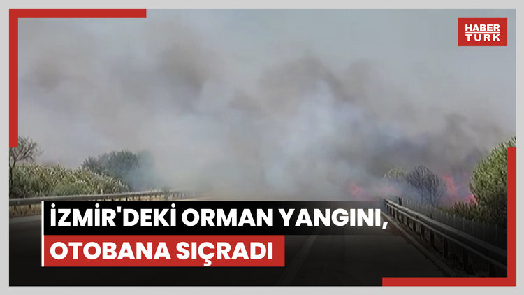 İzmir'deki orman yangını, otobana sıçradı