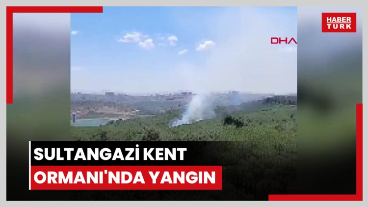 Sultangazi Kent Ormanı'nda yangın