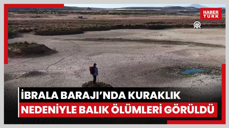 İbrala Barajı'nda kuraklık nedeniyle balık ölümleri görüldü