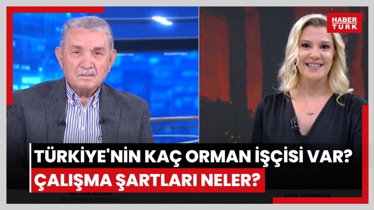 Türkiye'nin kaç orman işçisi var? Çalışma şartları neler?