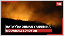 Hatay'da orman yangını 