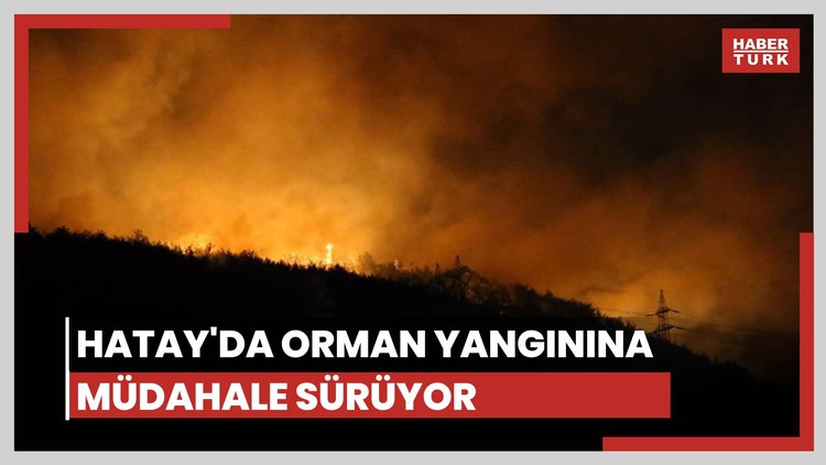 Hatay'da orman yangını