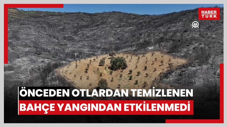 Önceden otlardan temizlenen bahçe yangından etkilenmedi