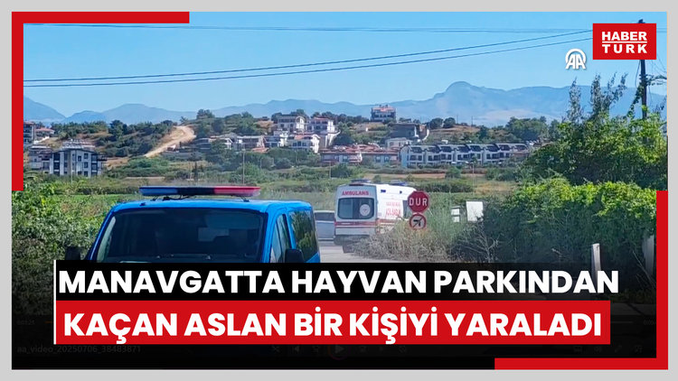 Manavgatta hayvan parkından kaçan aslan bir kişiyi yaraladı