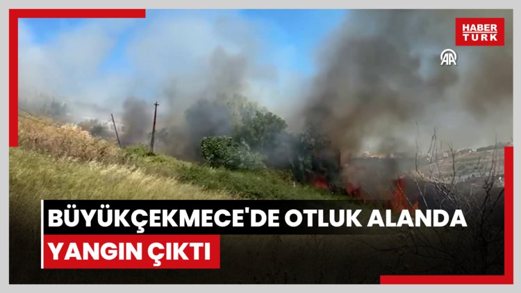 Büyükçekmece'de otluk alanda yangın çıktı