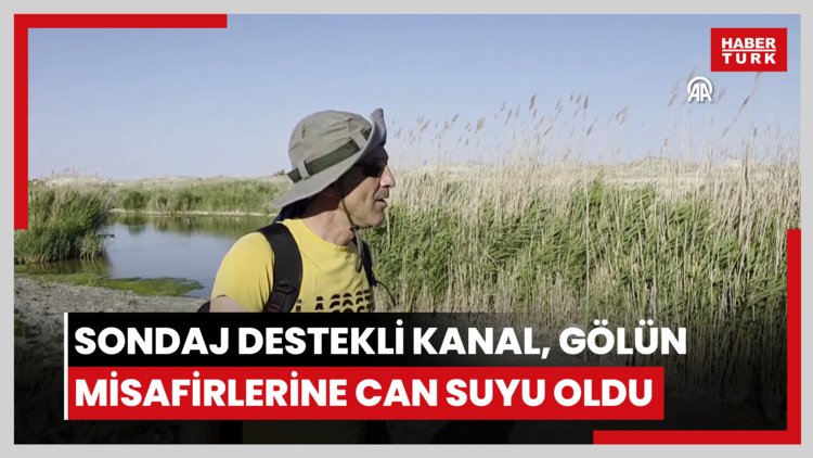 Tuz Gölü'ne açılan sondaj destekli kanal, gölün misafirleri flamingolara can suyu oldu