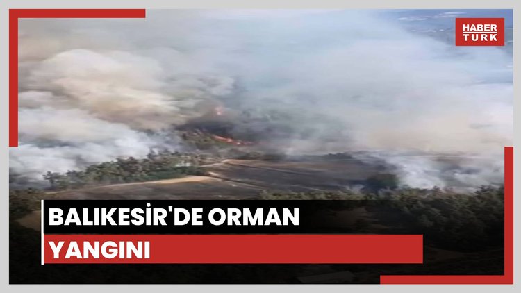 Balıkesir'de orman yangını