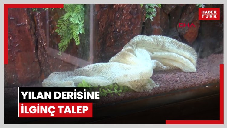 Yılan derisine ilginç talep