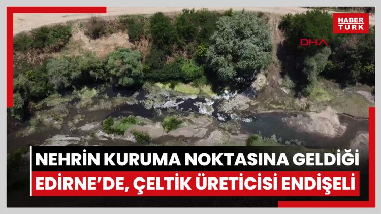 Tunca Nehri'nin kuruma noktasına geldiği Edirne'de, çeltik üreticisi endişeli