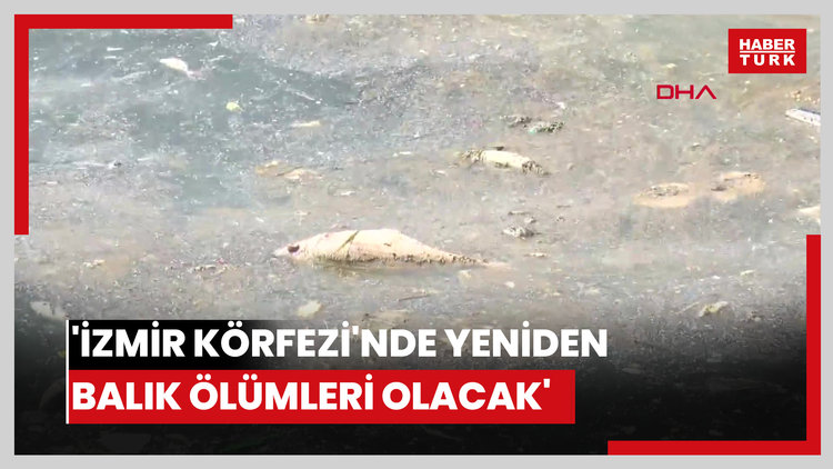 'İzmir Körfezi'nde yeniden balık ölümleri olacak'