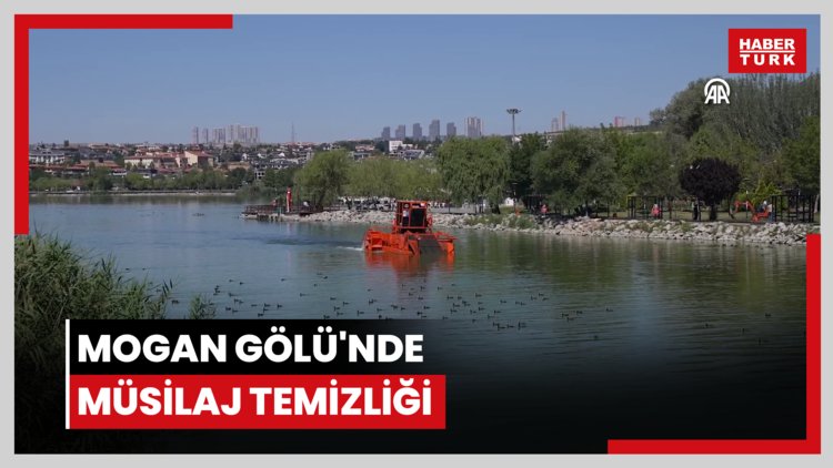 Mogan Gölü'nde müsilaj temizliği