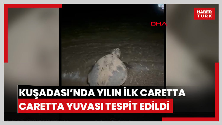 Kuşadası'nda yılın ilk caretta caretta yuvası tespit edildi