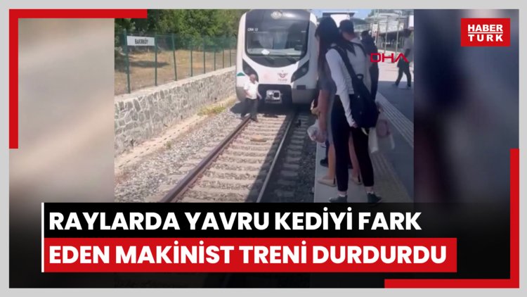 Bakırköy'de raylarda duran yavru kediyi fark eden makinist treni durdurdu