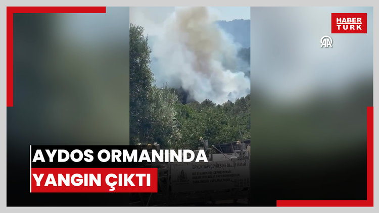 Aydos Ormanında yangın çıktı