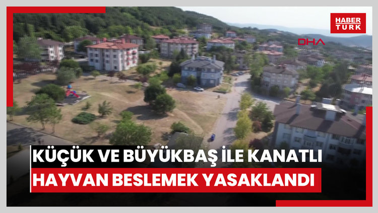 Belde merkezinde küçük ve büyükbaş ile kanatlı hayvan beslemek yasaklandı