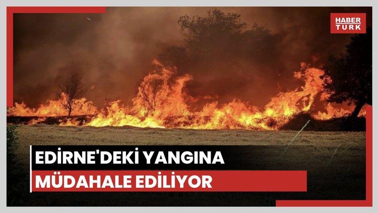 Edirne'de çıkan orman yangınına müdahale