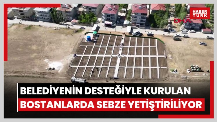 Vanlı kadınlar, belediyenin desteğiyle kurulan bostanlarda sebze yetiştiriyor
