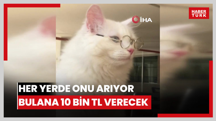 Her yerde onu arıyor: Bulana 10 bin TL verecek