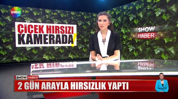 Çiçek hırsızı kamerada! 