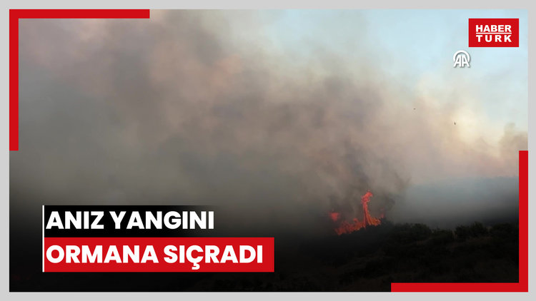 Anız yangını ormana sıçradı