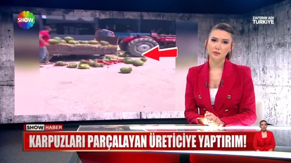 Karpuzları parçalayan üreticiye yaptırım! 
