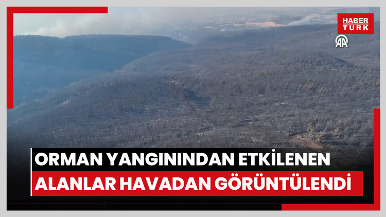 Orman yangınından etkilenen alanlar havadan görüntülendi