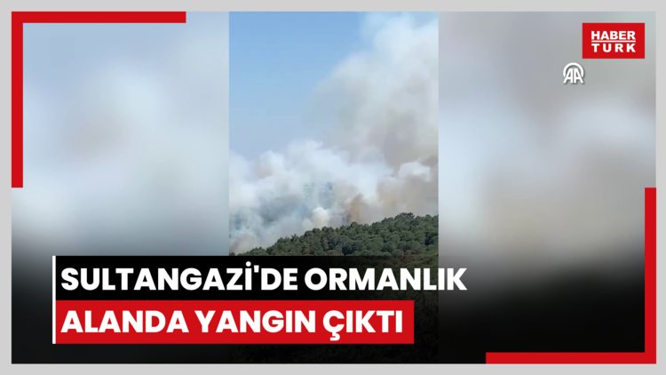 Sultangazi'de ormanlık alanda yangın çıktı