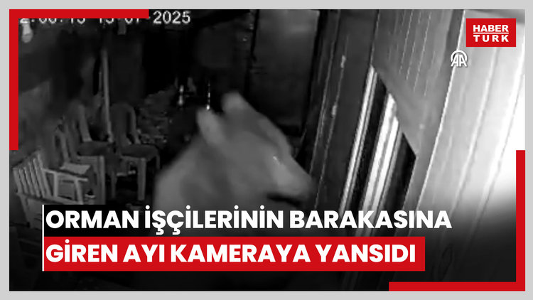 Orman işçilerinin barakasına giren ayı kameraya yansıdı