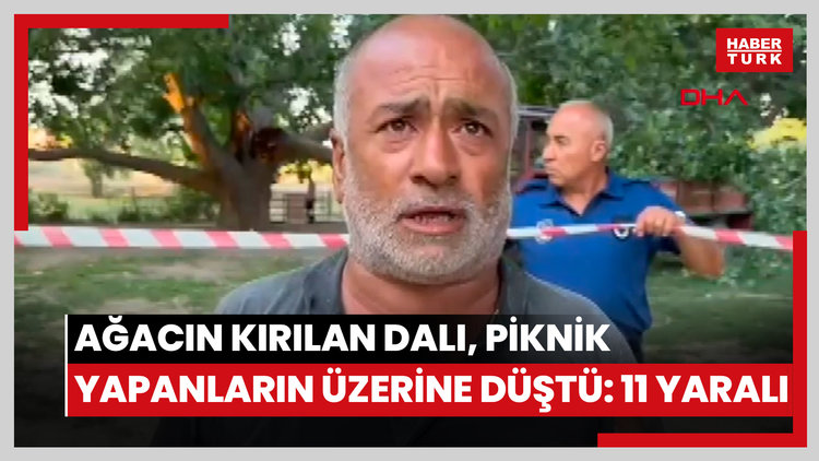 Ağacın kırılan dalı, piknik yapanların üzerine düştü: 11 yaralı