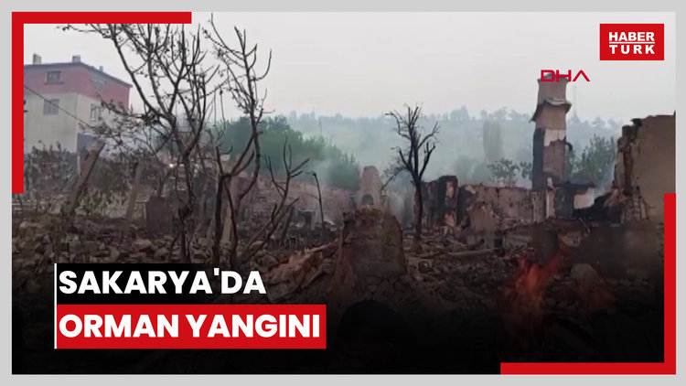 Sakarya'da orman yangını: Taşoluk Mahallesinde 3 ev kül oldu