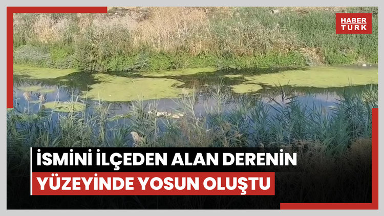 Kuraklık nedeniyle debisi düşen Lüleburgaz Deresi'nin yüzeyi yosunla kaplandı
